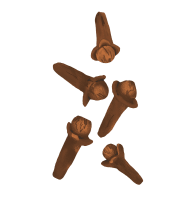 shape